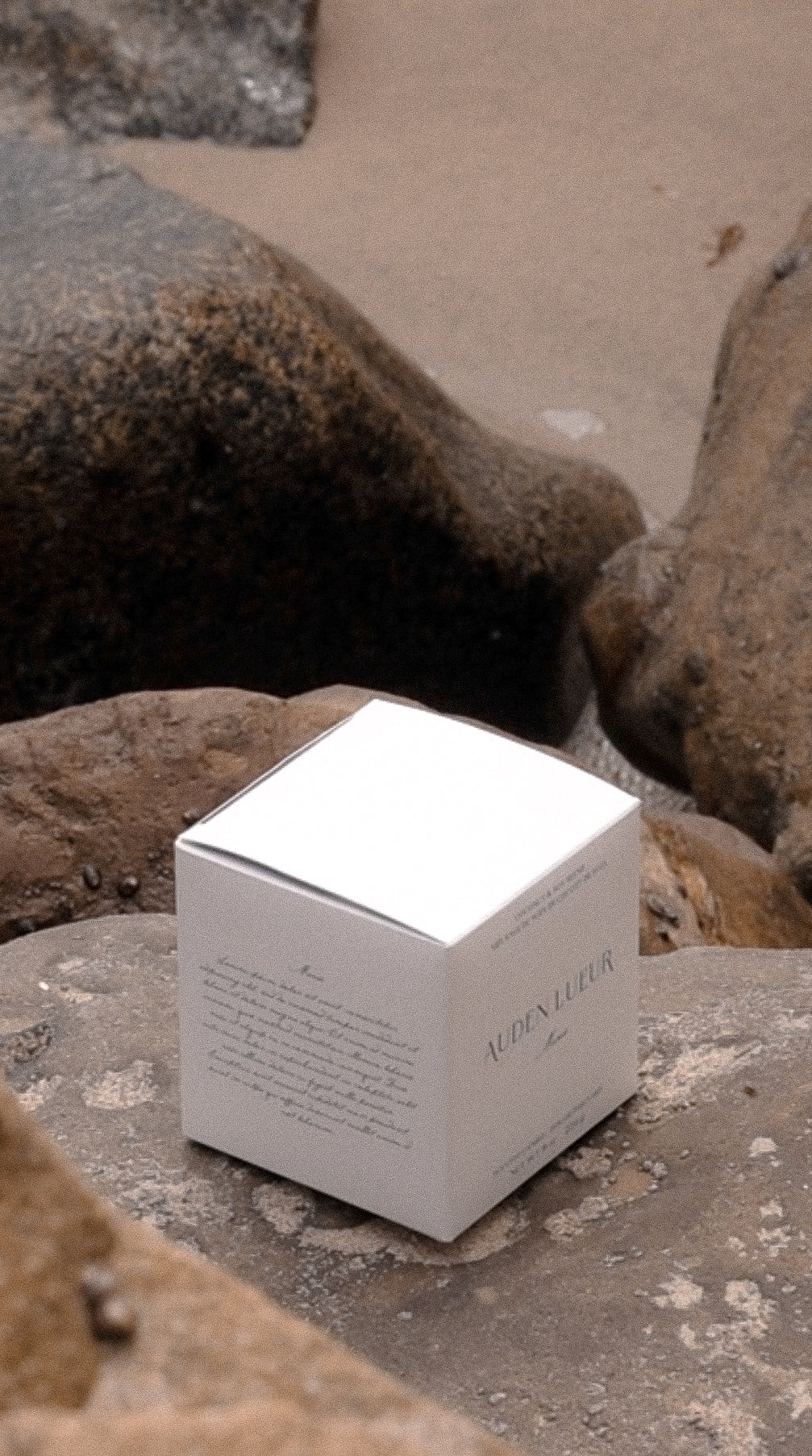 The candle box sits on a rock at the beach.