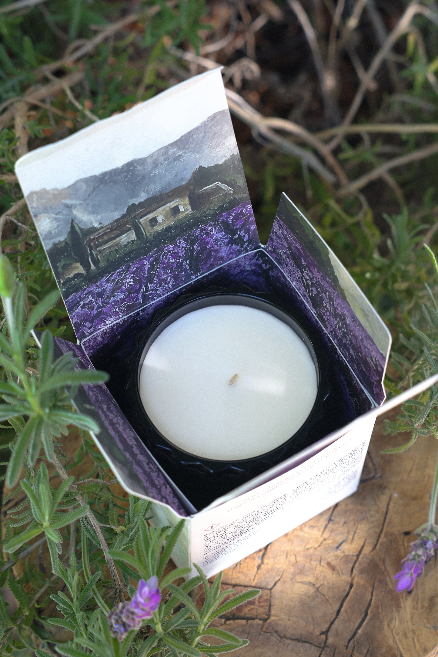 PROVENCE | Non-Toxic Candle in Textured Glass Vessel