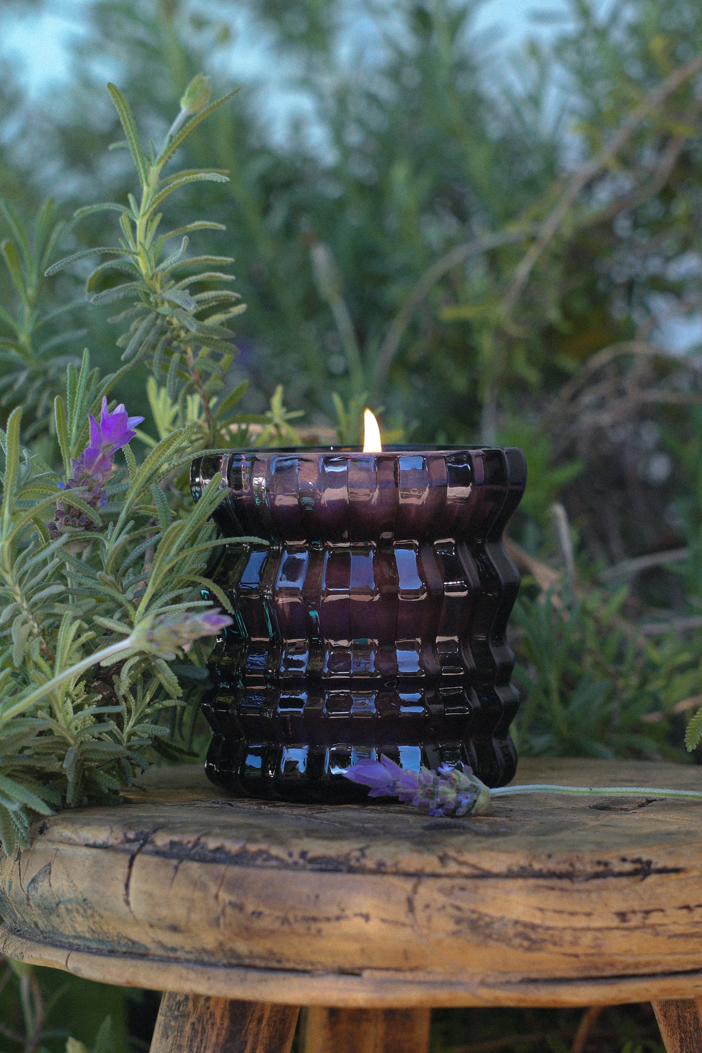 PROVENCE | Non-Toxic Candle in Textured Glass Vessel