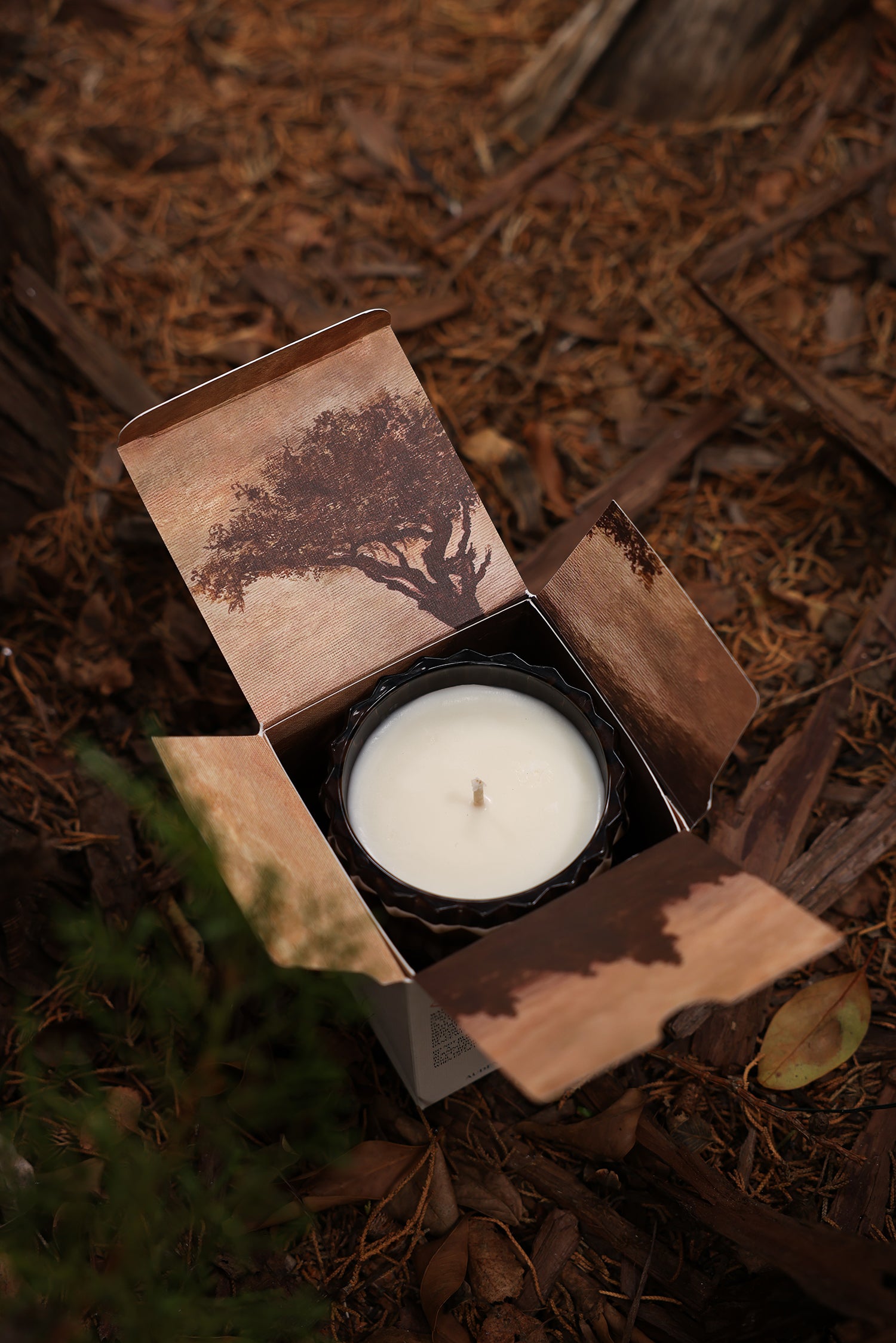 The Willow candle is nestled in its box, with the flaps flipped open to reveal the stunning design inside.