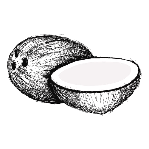 Coconut icon representing the Non-Toxic Blend made with coconut and soy wax, free from parabens.