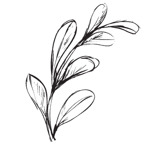 Leaf icon representing high-quality scents and fragrance and essential oil blends, free from harmful chemicals.
